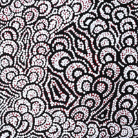 Aboriginal Artwork by Melinda Napurrurla Wilson, Lukarrara Jukurrpa (Desert Fringe-rush Seed Dreaming), 61x30cm