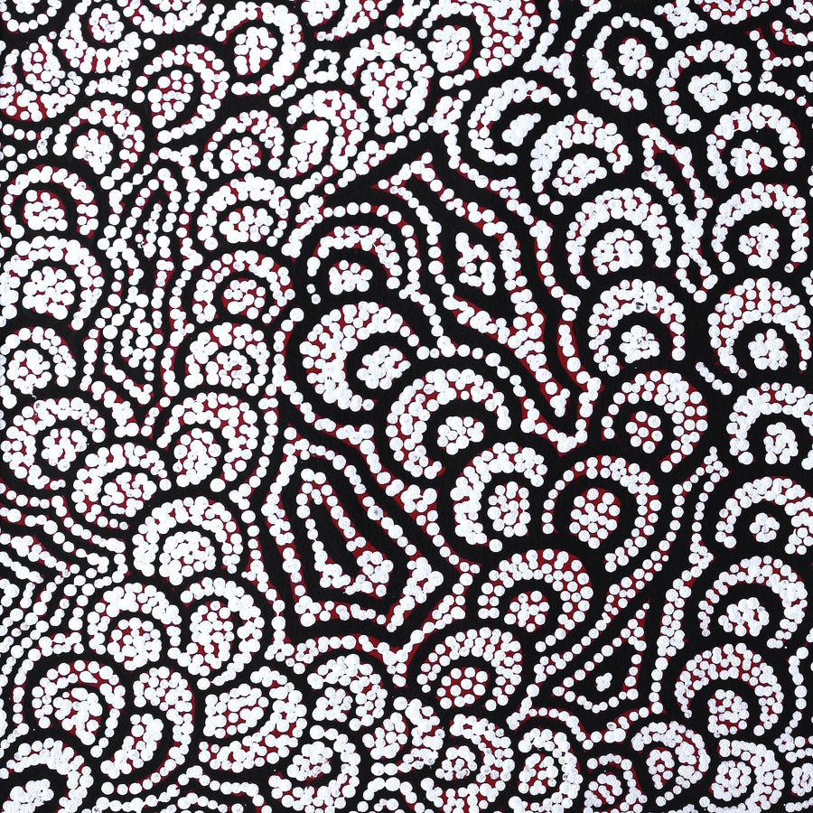 Aboriginal Artwork by Melinda Napurrurla Wilson, Lukarrara Jukurrpa (Desert Fringe-rush Seed Dreaming), 61x30cm