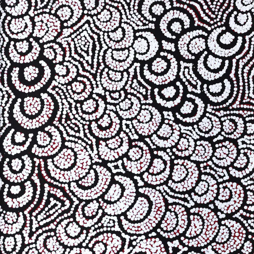 Aboriginal Artwork by Melinda Napurrurla Wilson,  Lukarrara Jukurrpa (Desert Fringe-rush Seed Dreaming), 61x30cm - ART ARK®