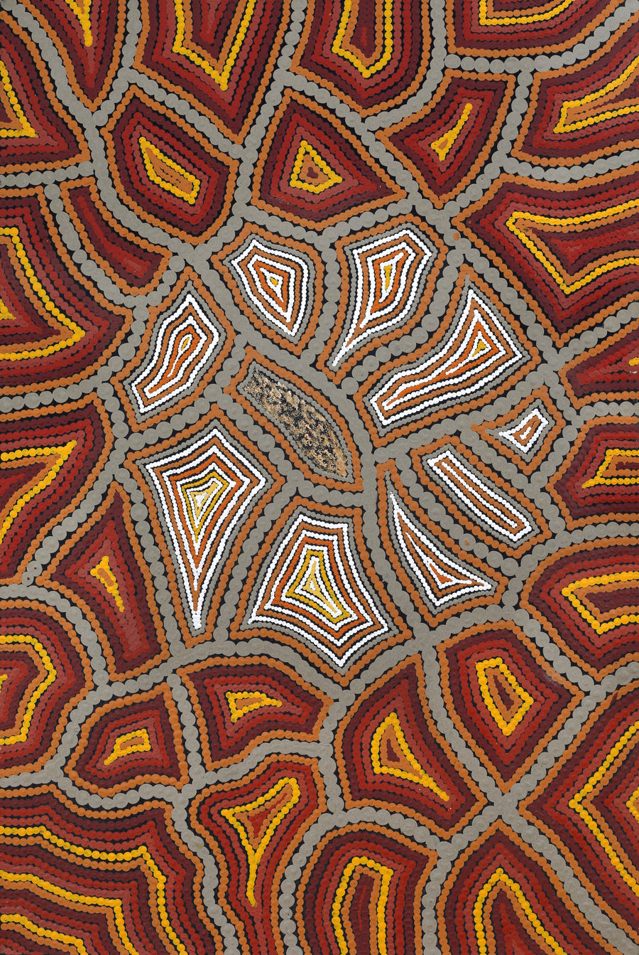 Aboriginal Artwork by Melissa Donegan, Walka Wiru Ngura Wiru, 91x61cm