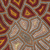 Aboriginal Artwork by Melissa Donegan, Walka Wiru Ngura Wiru, 91x61cm