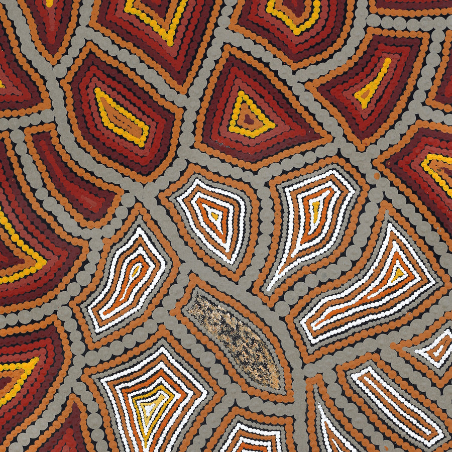 Aboriginal Artwork by Melissa Donegan, Walka Wiru Ngura Wiru, 91x61cm