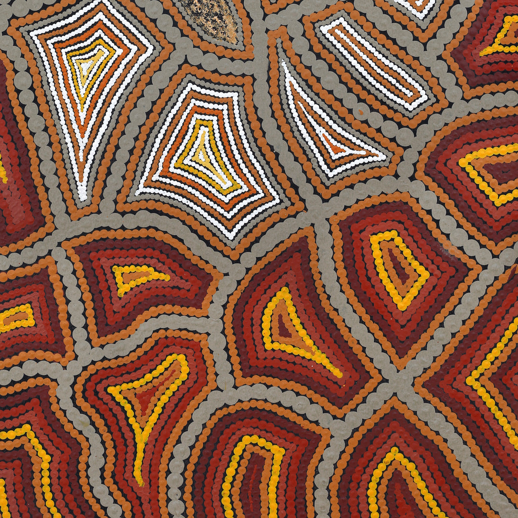 Aboriginal Artwork by Melissa Donegan, Walka Wiru Ngura Wiru, 91x61cm