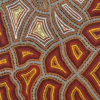 Aboriginal Artwork by Melissa Donegan, Walka Wiru Ngura Wiru, 91x61cm