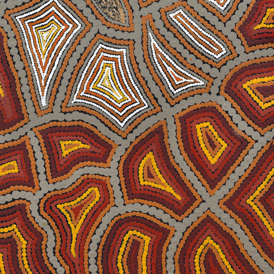 Aboriginal Artwork by Melissa Donegan, Walka Wiru Ngura Wiru, 91x61cm