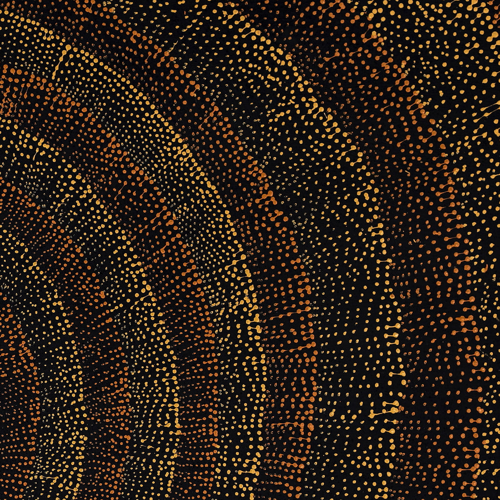 Aboriginal Artwork by Melissa Nampijinpa Karpa, Ngapa Jukurrpa (Water Dreaming) - Puyurru, 107x76cm