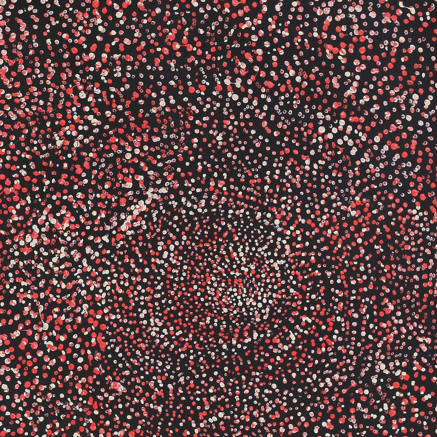 Aboriginal Artwork by Melissa Nampijinpa Karpa, Ngapa Jukurrpa (Water Dreaming) - Puyurru, 46x30cm