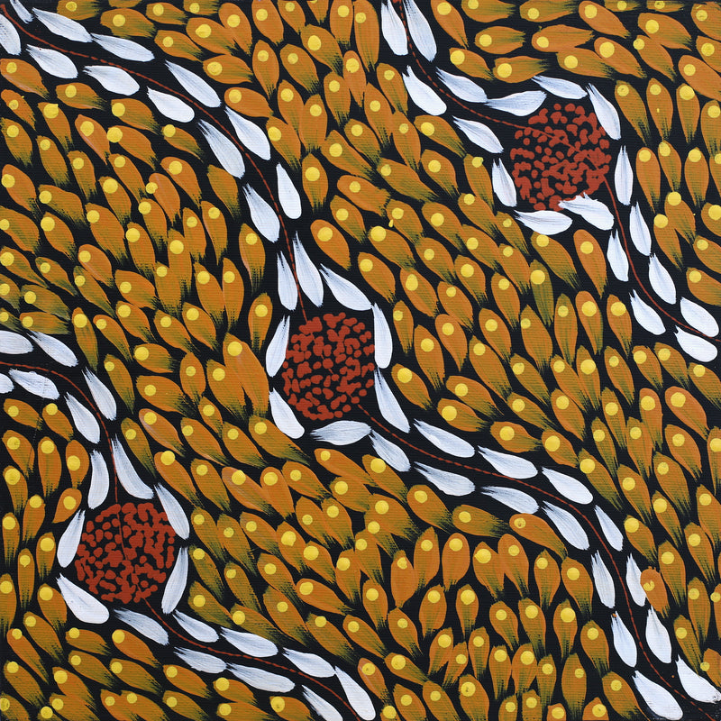 Aboriginal Artwork by Melissa Nampijinpa Karpa, Ngapa Jukurrpa (Water Dreaming) - Puyurru, 30x30cm