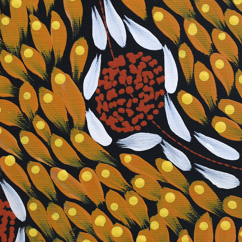 Aboriginal Artwork by Melissa Nampijinpa Karpa, Ngapa Jukurrpa (Water Dreaming) - Puyurru, 30x30cm