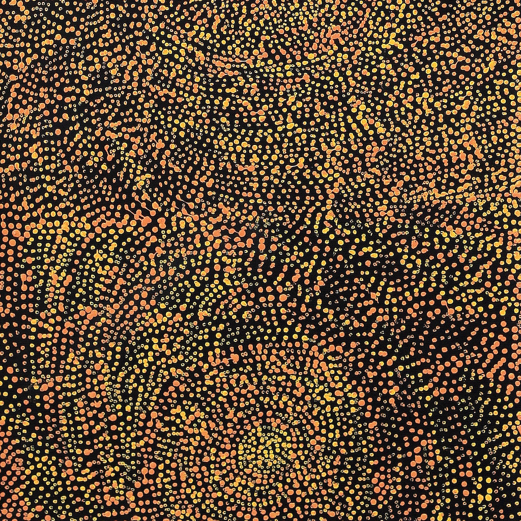 Aboriginal Artwork by Melissa Nampijinpa Karpa, Ngapa Jukurrpa (Water Dreaming) - Puyurru, 91x30cm