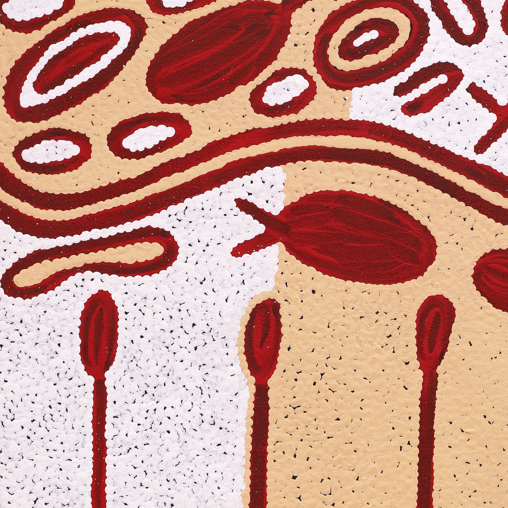 Aboriginal Artwork by Melissa Nungarrayi Larry, Yumari Jukurrpa (Yumari Dreaming), 76x46cm