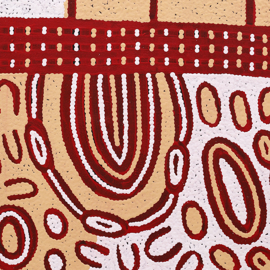 Aboriginal Artwork by Melissa Nungarrayi Larry, Yumari Jukurrpa (Yumari Dreaming), 76x46cm