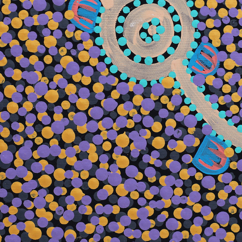 Aboriginal Artwork by Melissa Napangardi Williams, Wardapi Jukurrpa (Goanna Dreaming) - Yarripurlangu, 30x30cm