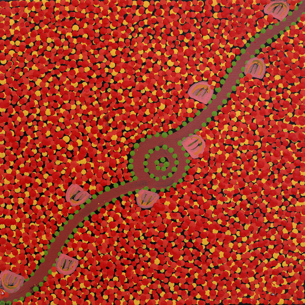 Aboriginal Artwork by Melissa Napangardi Williams, Wardapi Jukurrpa (Goanna Dreaming) - Yarripurlangu, 30x30cm - ART ARK®