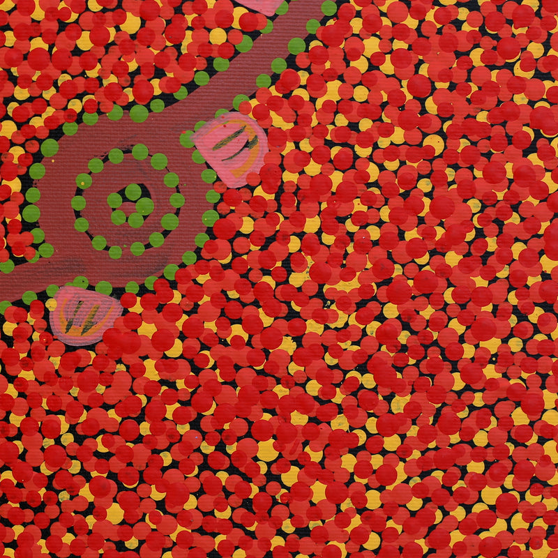 Aboriginal Artwork by Melissa Napangardi Williams, Wardapi Jukurrpa (Goanna Dreaming) - Yarripurlangu, 30x30cm