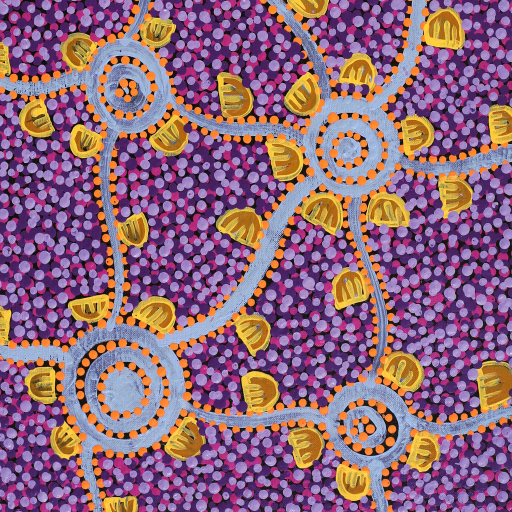 Aboriginal Artwork by Melissa Napangardi Williams, Wardapi Jukurrpa (Goanna Dreaming) - Yarripilangu, 61x30cm