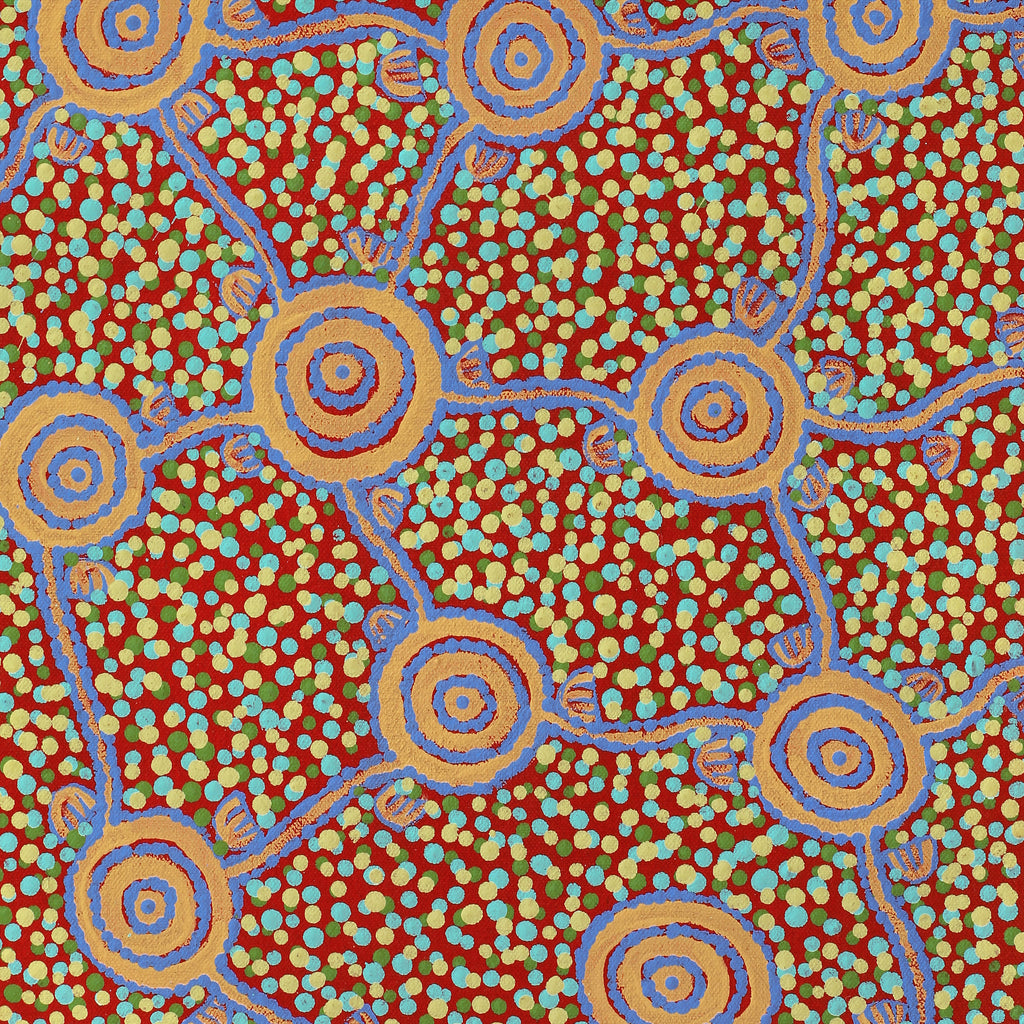 Aboriginal Artwork by Melissa Napangardi Williams, Wardapi Jukurrpa (Goanna Dreaming) - Yarripilangu, 61x30cm