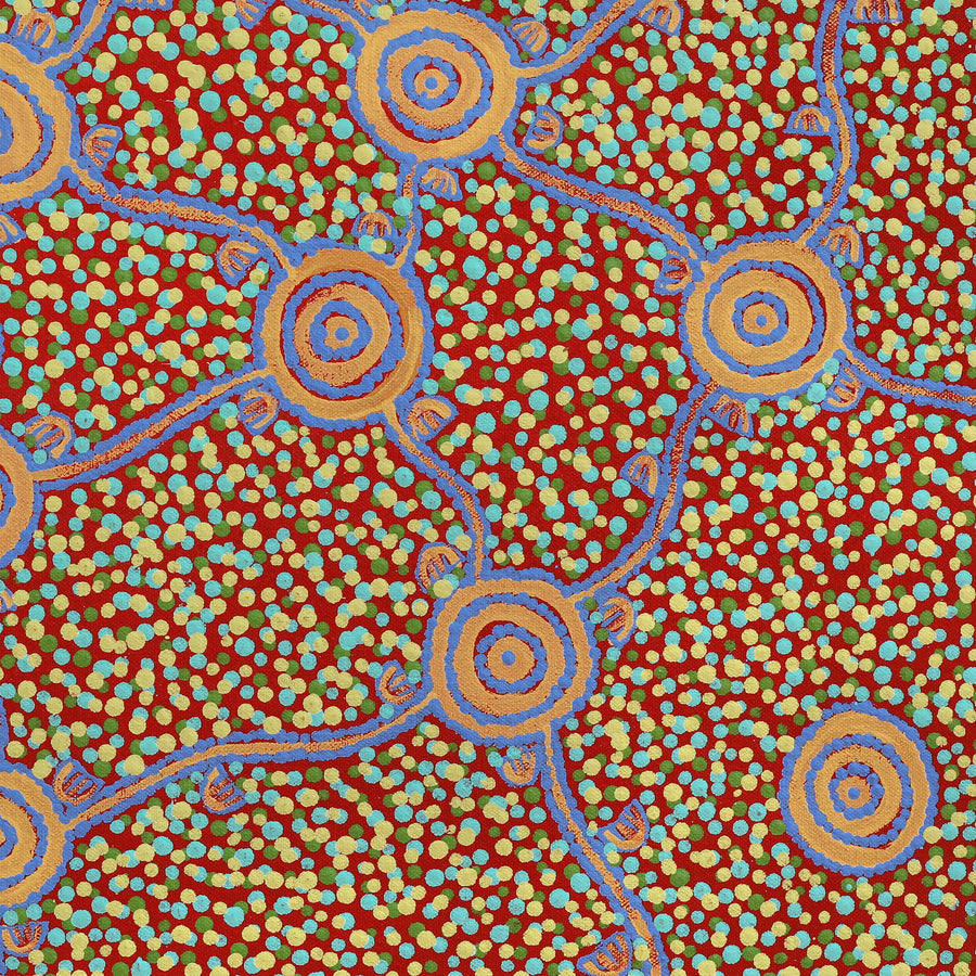 Aboriginal Artwork by Melissa Napangardi Williams, Wardapi Jukurrpa (Goanna Dreaming) - Yarripilangu, 61x30cm