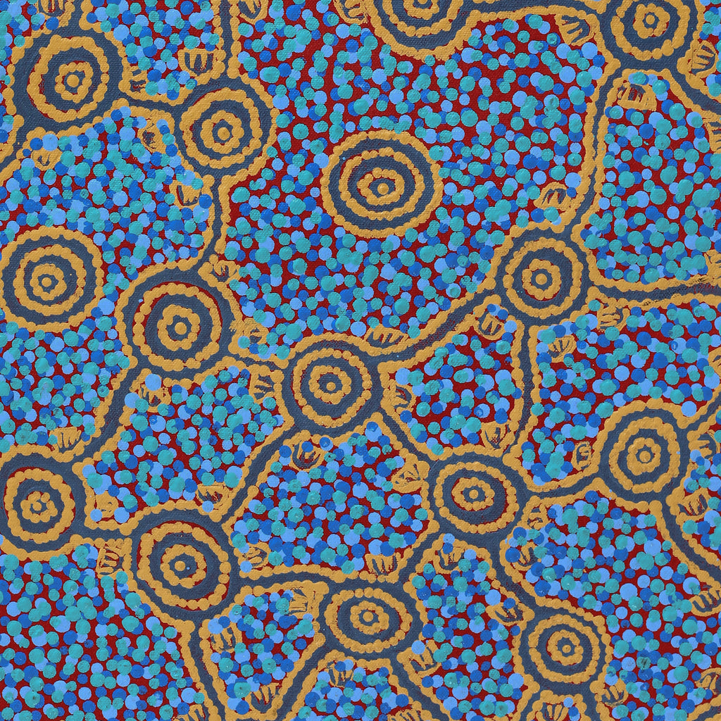 Aboriginal Artwork by Melissa Napangardi Williams, Wardapi Jukurrpa (Goanna Dreaming) - Yarripilangu, 61x30cm