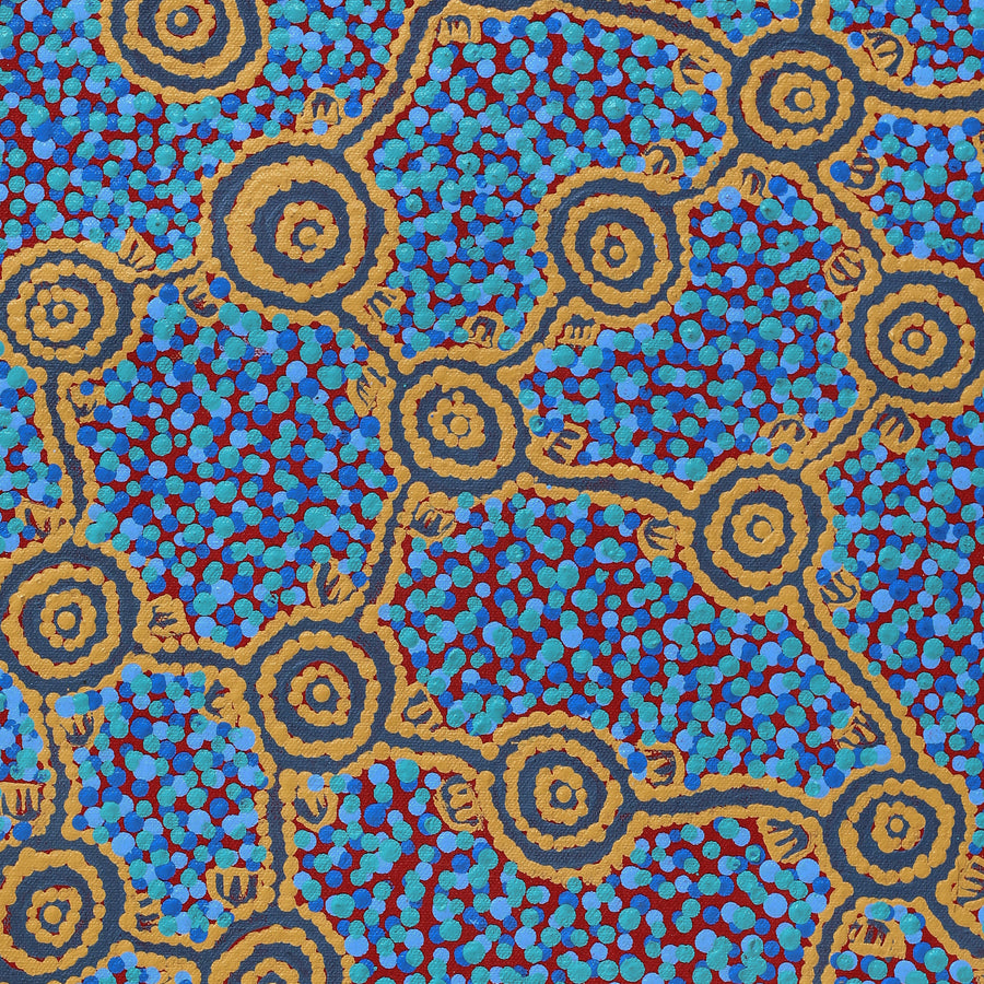 Aboriginal Artwork by Melissa Napangardi Williams, Wardapi Jukurrpa (Goanna Dreaming) - Yarripilangu, 61x30cm