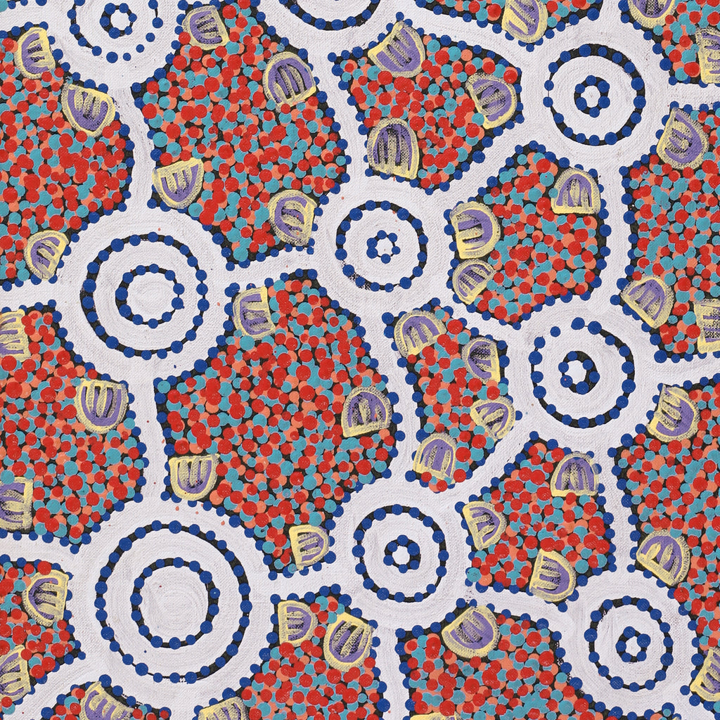 Aboriginal Artwork by Melissa Napangardi Williams, Wardapi Jukurrpa (Goanna Dreaming) - Yarripilangu, 61x30cm