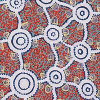 Aboriginal Artwork by Melissa Napangardi Williams, Wardapi Jukurrpa (Goanna Dreaming) - Yarripilangu, 61x30cm