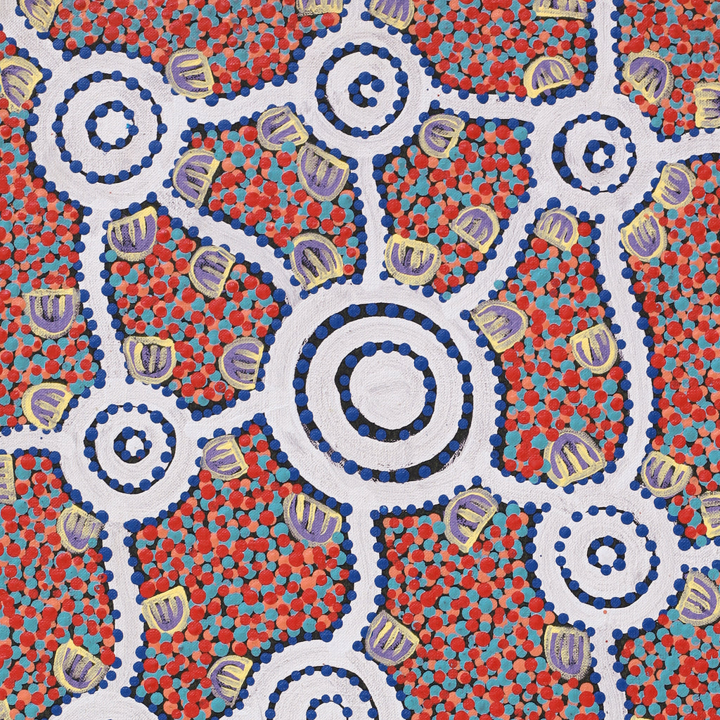 Aboriginal Artwork by Melissa Napangardi Williams, Wardapi Jukurrpa (Goanna Dreaming) - Yarripilangu, 61x30cm