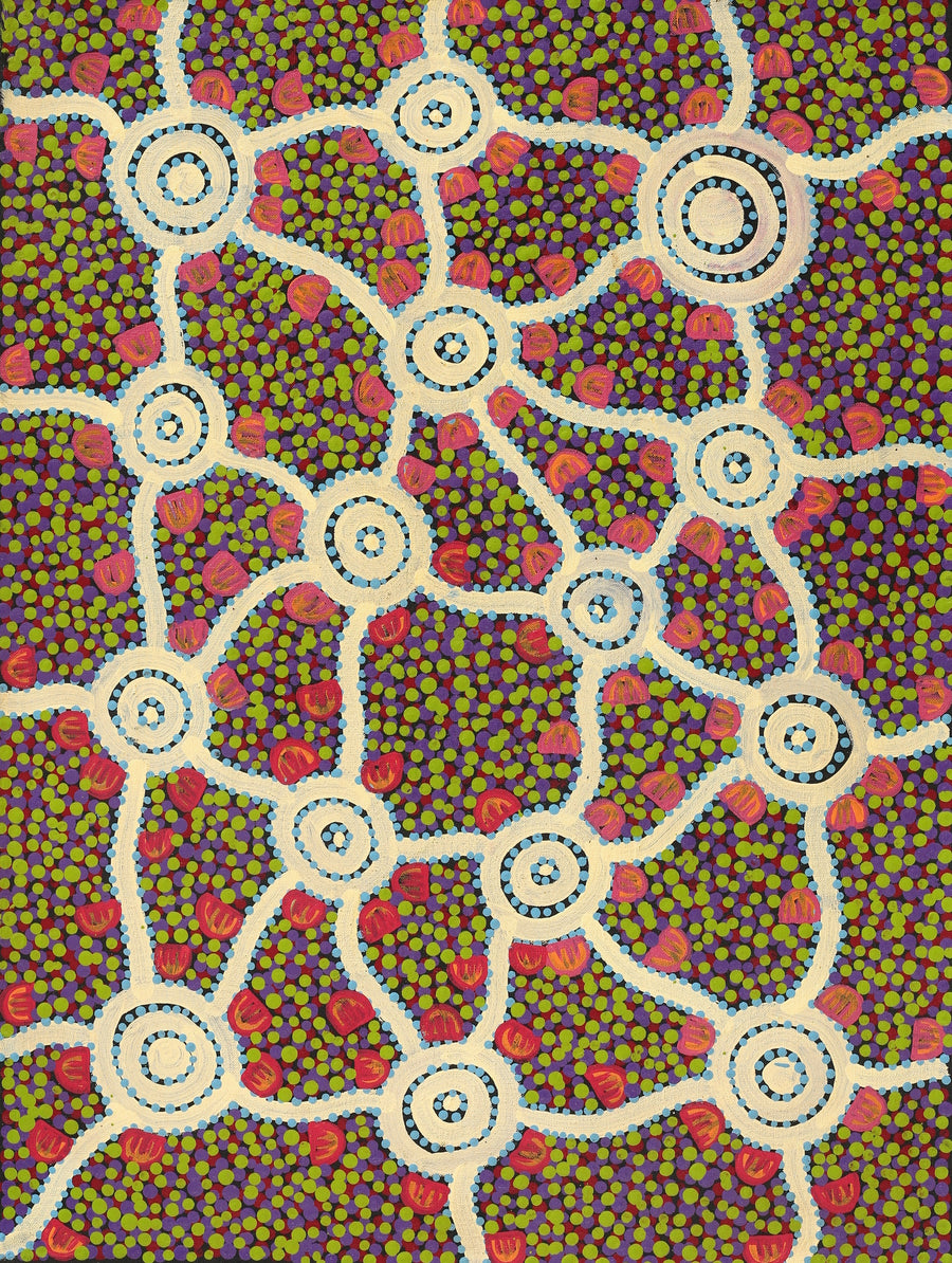 Aboriginal Artwork by Melissa Napangardi Williams, Wardapi Jukurrpa (Goanna Dreaming) - Yarripilangu, 61x46cm