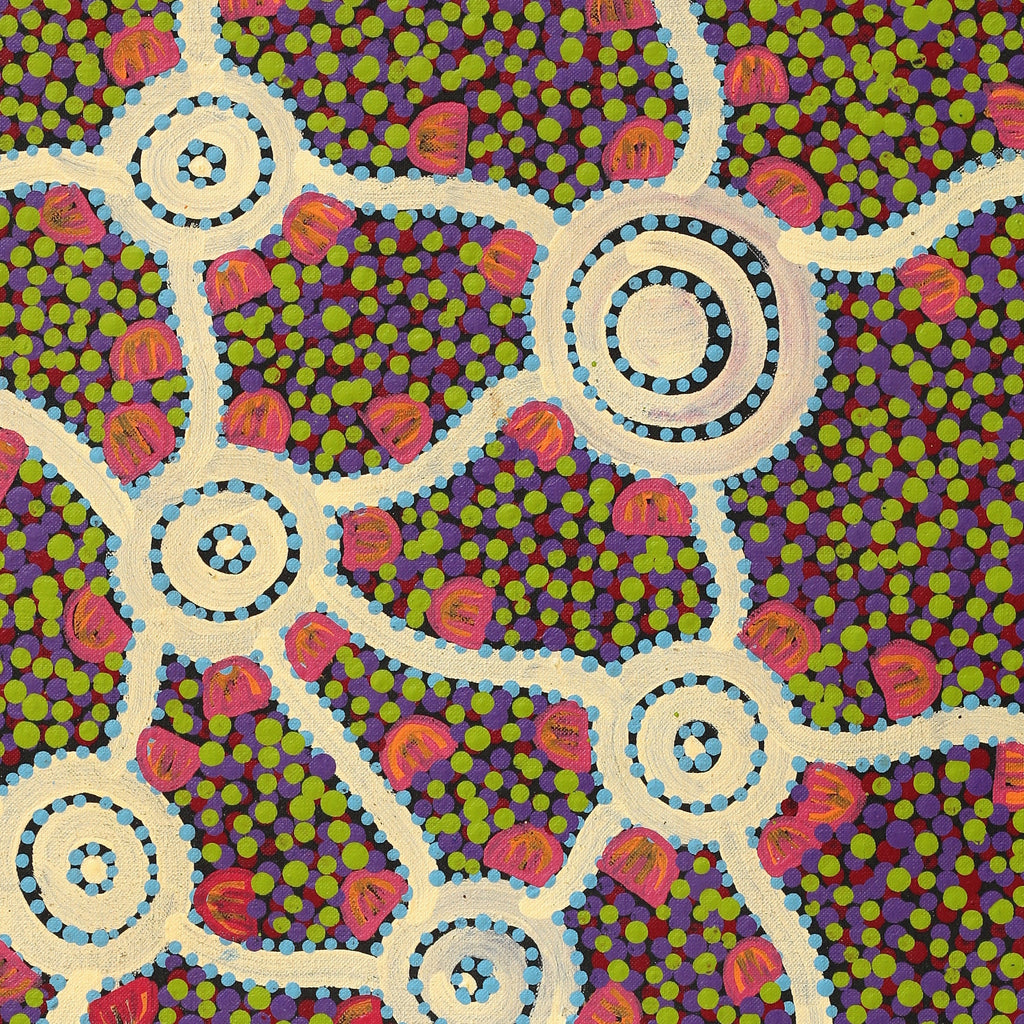 Aboriginal Artwork by Melissa Napangardi Williams, Wardapi Jukurrpa (Goanna Dreaming) - Yarripilangu, 61x46cm
