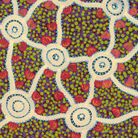 Aboriginal Artwork by Melissa Napangardi Williams, Wardapi Jukurrpa (Goanna Dreaming) - Yarripilangu, 61x46cm