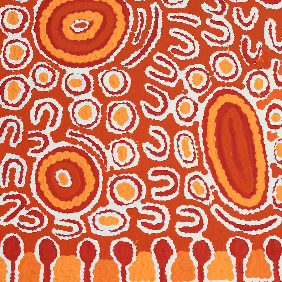 Aboriginal Artwork by Melissa Nungarrayi Larry, Yumari Jukurrpa (Yumari Dreaming), 61x30cm