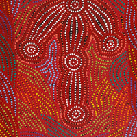 Aboriginal Artwork by Michael Jangala Gallagher, Yankirri Jukurrpa (Emu Dreaming) - Ngarlikurlangu, 91x61cm