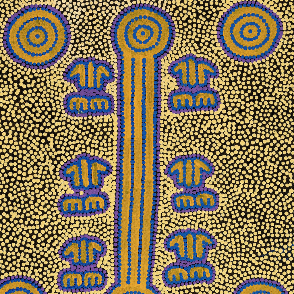Aboriginal Artwork by Michael Japaljarri Wayne, Marlu Jukurrpa (Red Kangaroo Dreaming) Yarnardilyi & Jurnti, 91x46cm