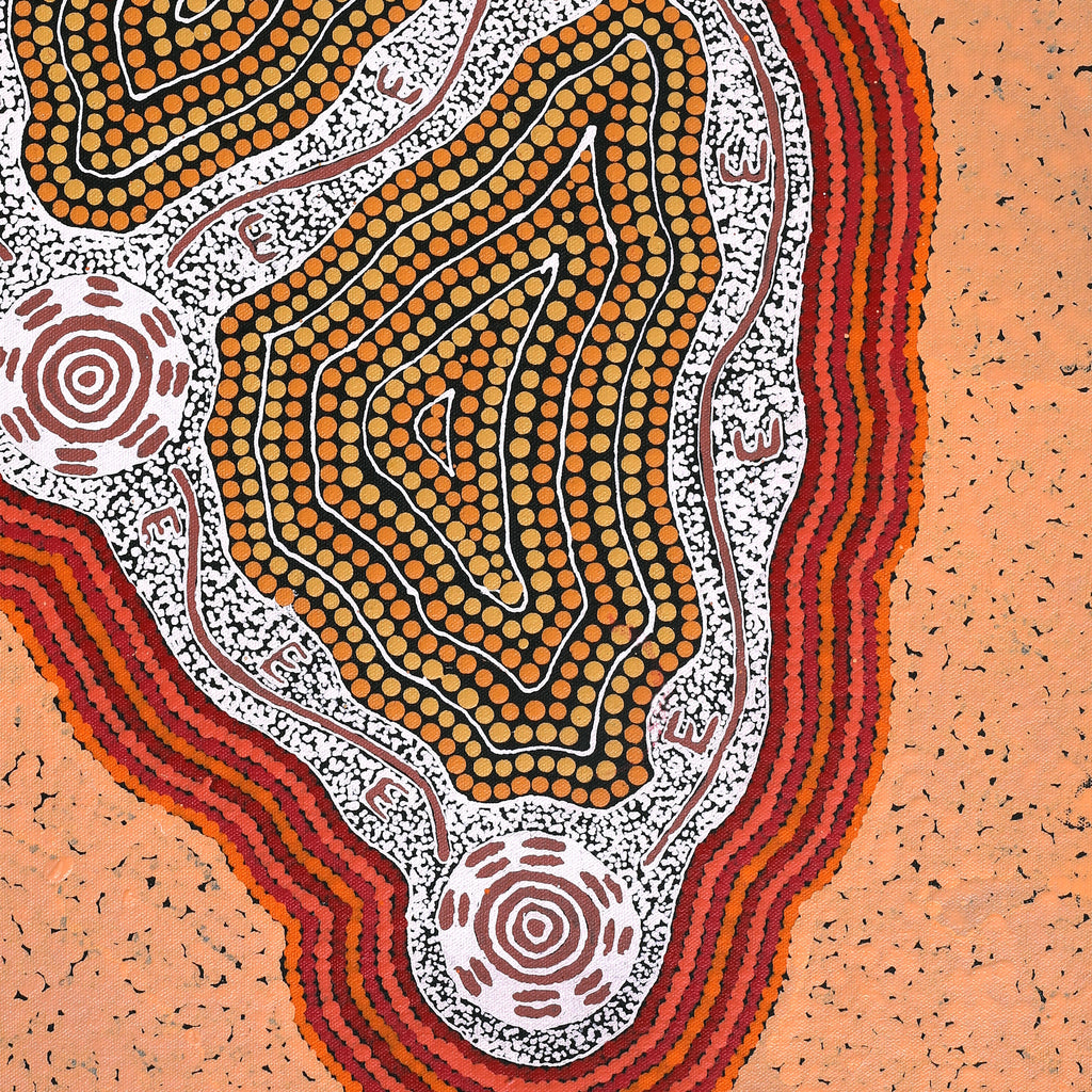 Aboriginal Artwork by Mickaela Napangardi Lankin, Pamapardu Jukurrpa (Flying Ant Dreaming) - Warntungurru, 61x46cm