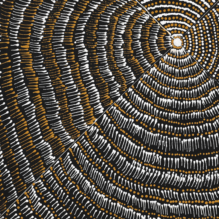 Aboriginal Artwork by Mickayla Napaljarri Brown, Watiya-warnu Jukurrpa (Seed Dreaming), 46x46cm