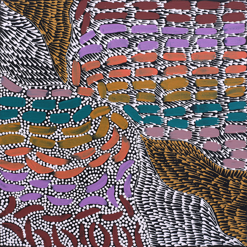Aboriginal Artwork by Mickayla Napaljarri Brown, Watiya-warnu Jukurrpa (Seed Dreaming), 30x30cm