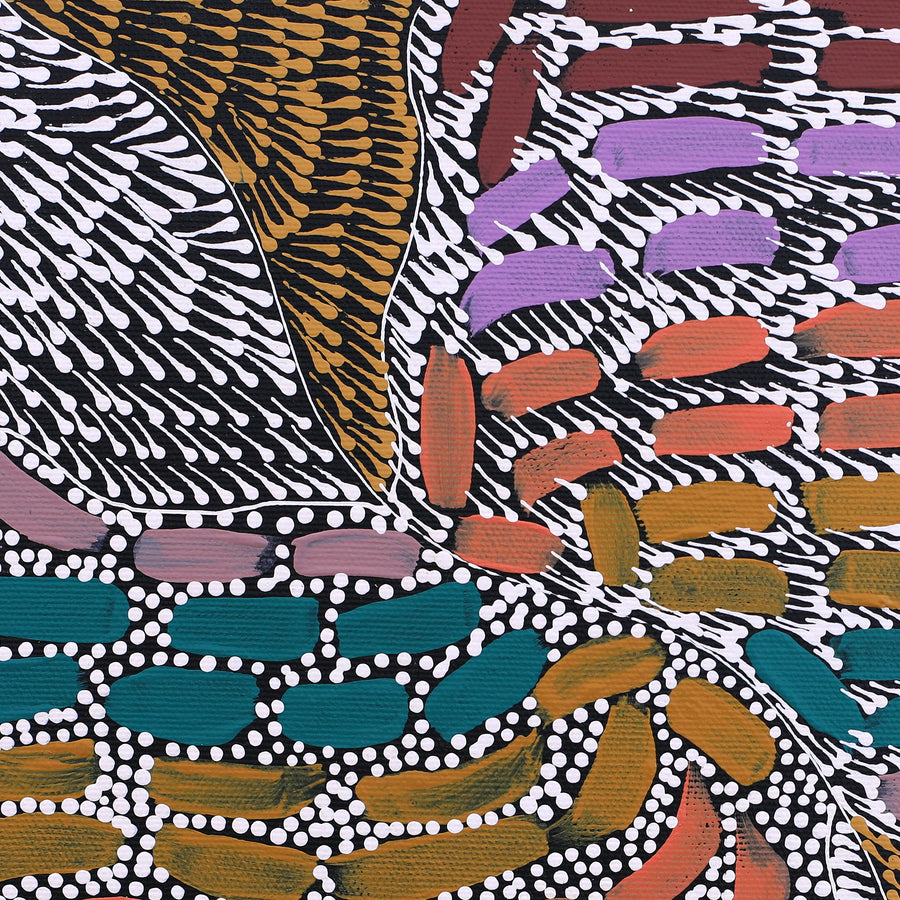 Aboriginal Artwork by Mickayla Napaljarri Brown, Watiya-warnu Jukurrpa (Seed Dreaming), 30x30cm