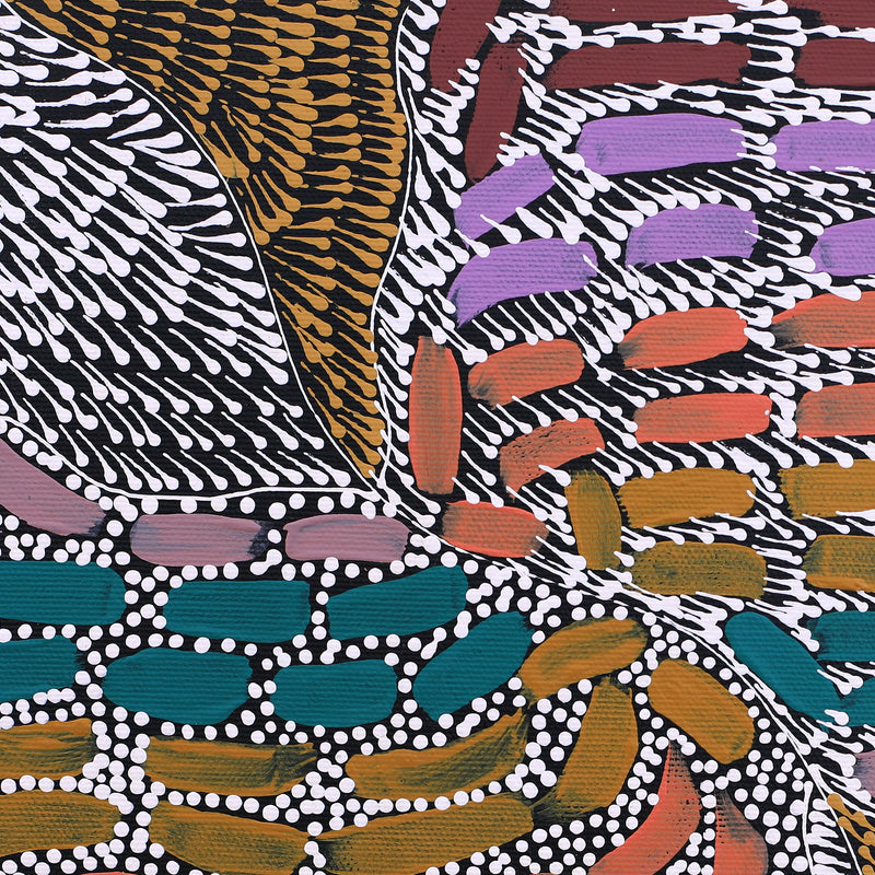 Aboriginal Artwork by Mickayla Napaljarri Brown, Watiya-warnu Jukurrpa (Seed Dreaming), 30x30cm