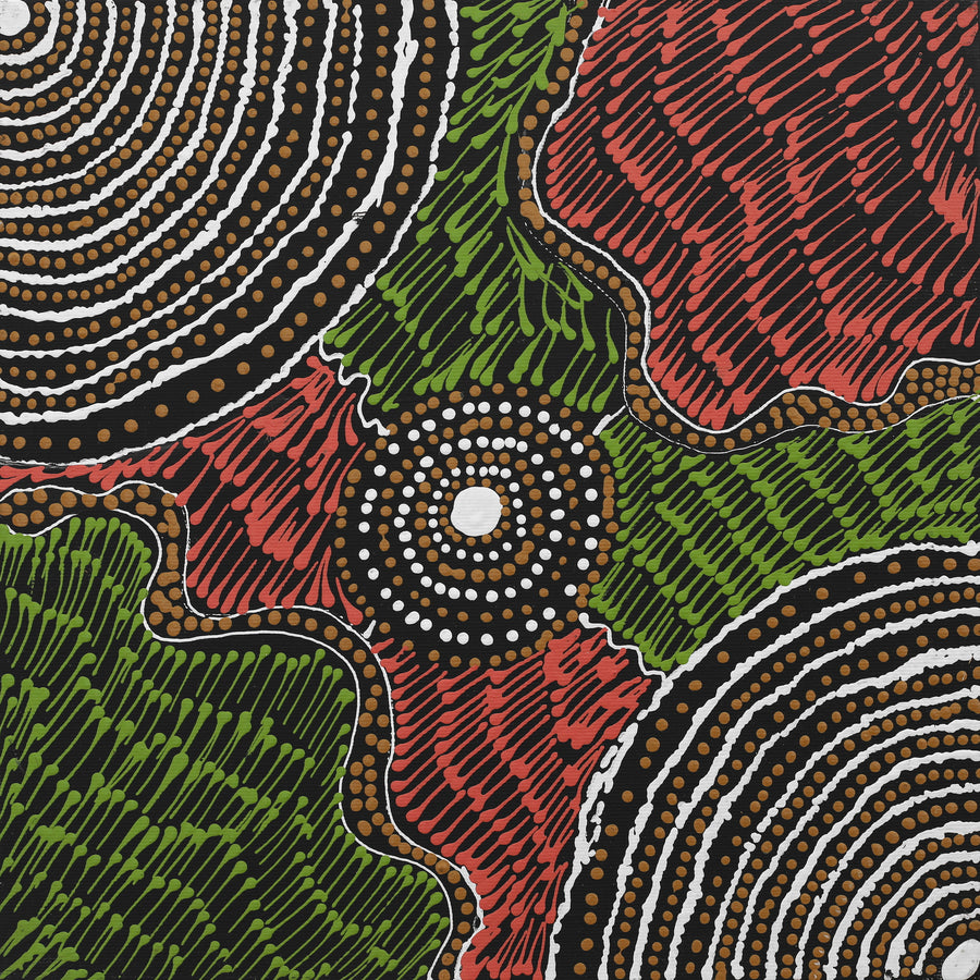 Aboriginal Artwork by Mickayla Napaljarri Brown, Watiya-warnu Jukurrpa (Seed Dreaming), 30x30cm