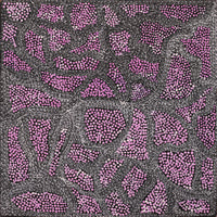 Aboriginal Artwork by Mickayla Napaljarri Brown, Watiya-warnu Jukurrpa (Seed Dreaming), 40x40cm