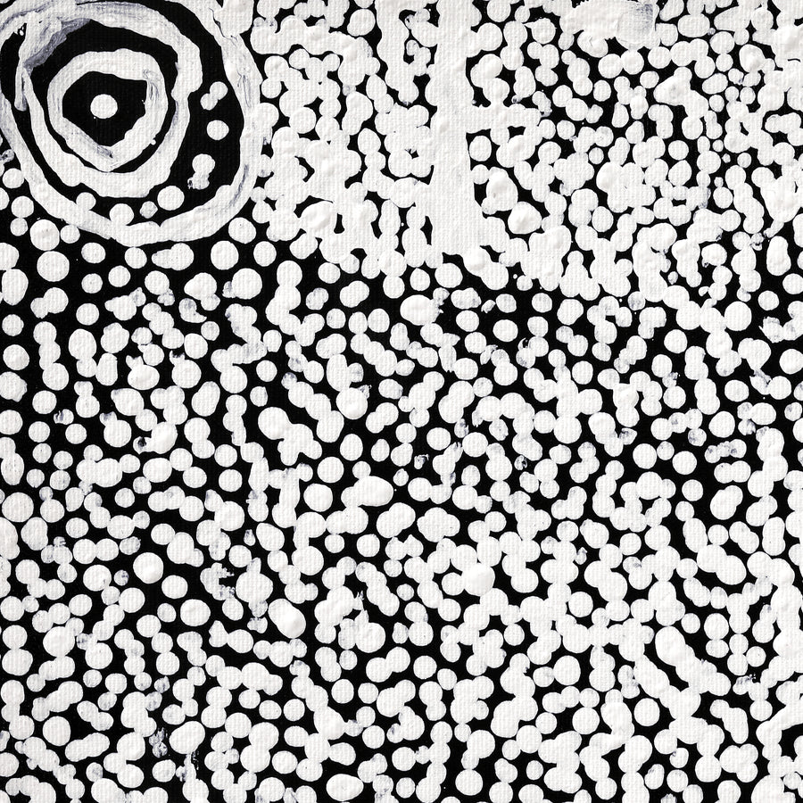 Aboriginal Artwork by Mickey Jampijinpa Singleton, Ngapa Jukurrpa (Water Dreaming) - Puyurru, 30x30cm