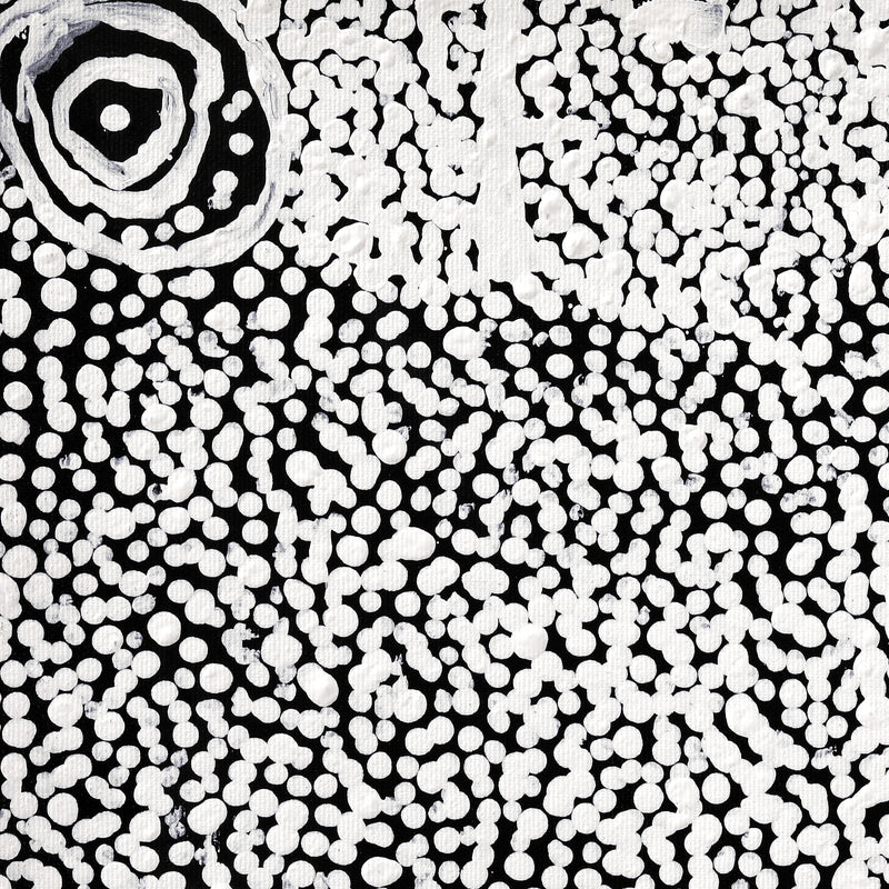 Aboriginal Artwork by Mickey Jampijinpa Singleton, Ngapa Jukurrpa (Water Dreaming) - Puyurru, 30x30cm