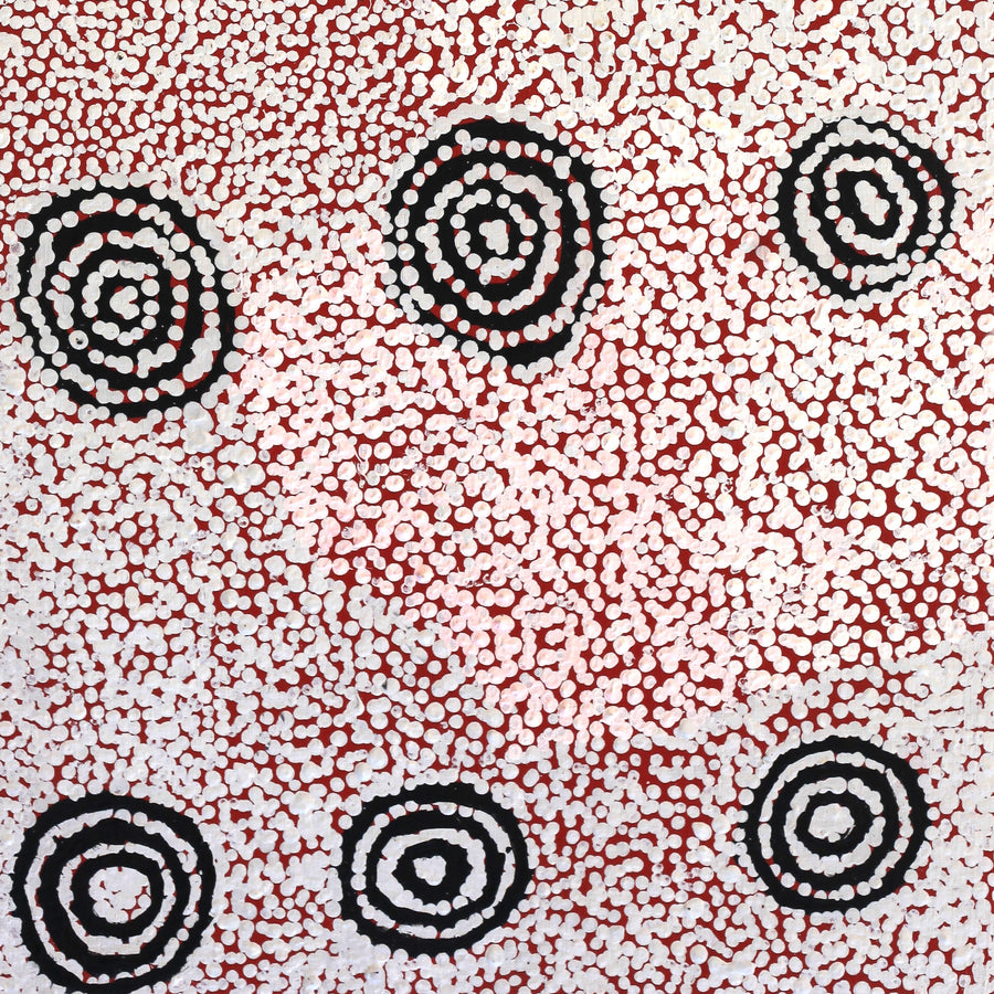 Aboriginal Artwork by Mickey Jampijinpa Singleton, Ngapa Jukurrpa (water Dreaming), 122x46cm