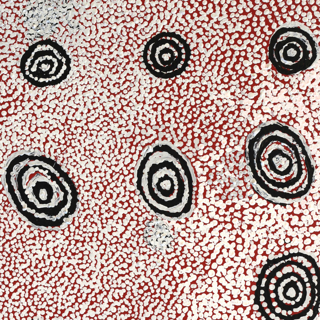 Aboriginal Artwork by Mickey Jampijinpa Singleton, Ngapa Jukurrpa (water Dreaming), 122x46cm