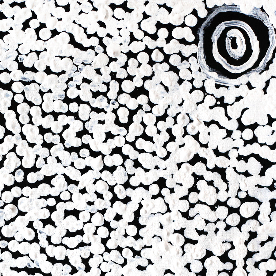Aboriginal Artwork by Mickey Jampijinpa Singleton, Ngapa Jukurrpa (Water Dreaming) - Puyurru, 30x30cm