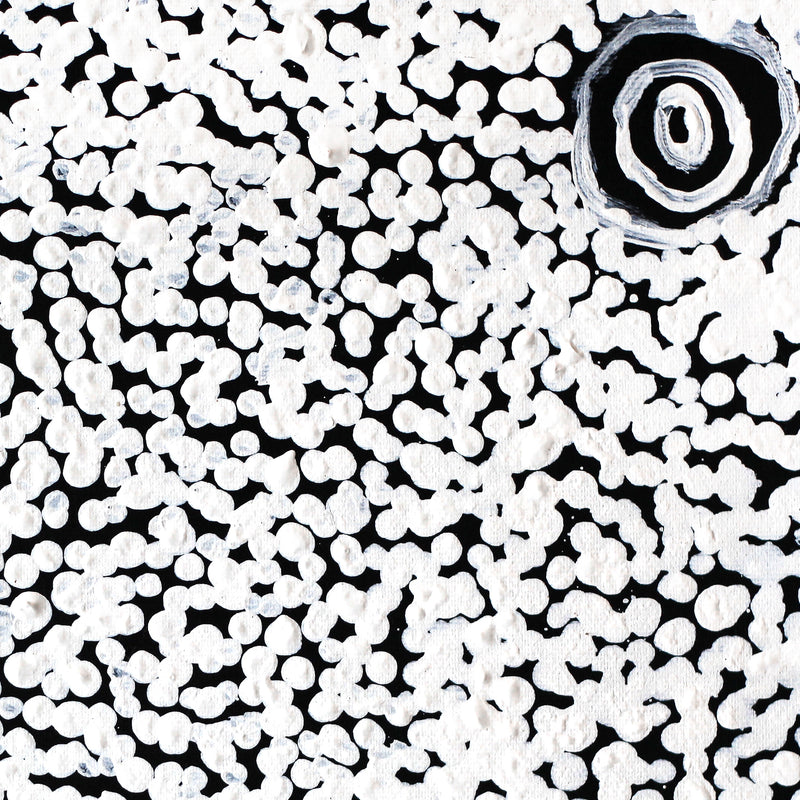 Aboriginal Artwork by Mickey Jampijinpa Singleton, Ngapa Jukurrpa (Water Dreaming) - Puyurru, 30x30cm