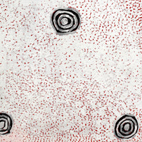 Aboriginal Artwork by Mickey Jampijinpa Singleton, Ngapa Jukurrpa, 76x46cm