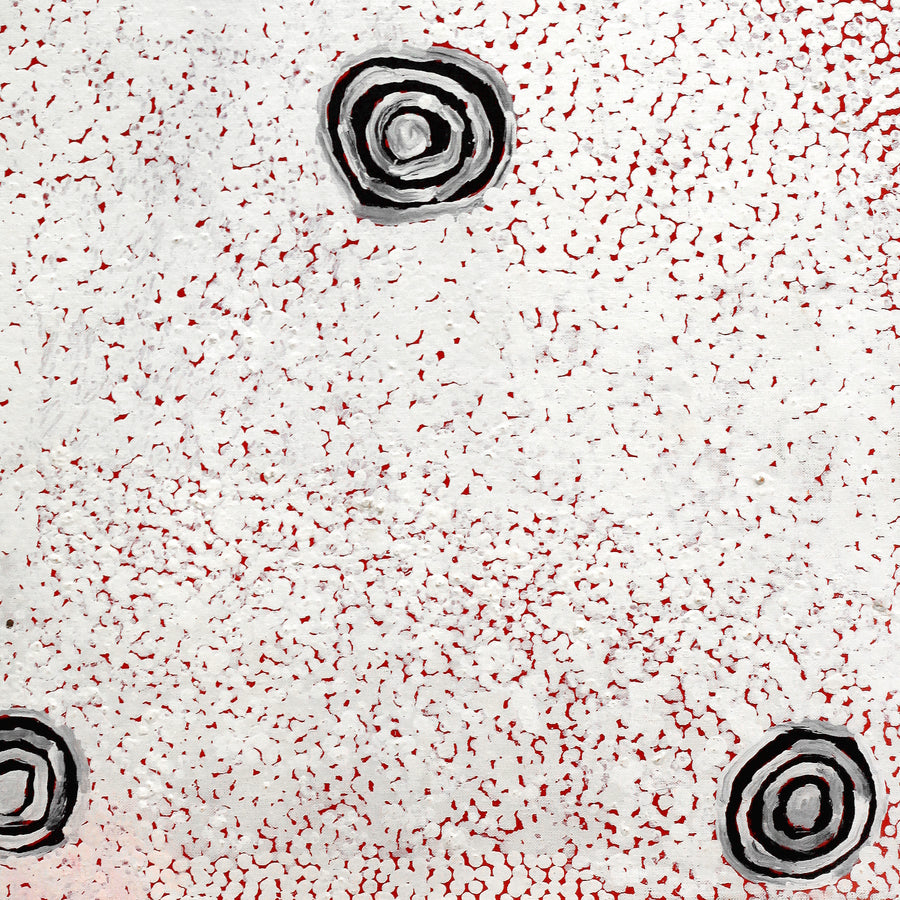 Aboriginal Artwork by Mickey Jampijinpa Singleton, Ngapa Jukurrpa, 76x46cm