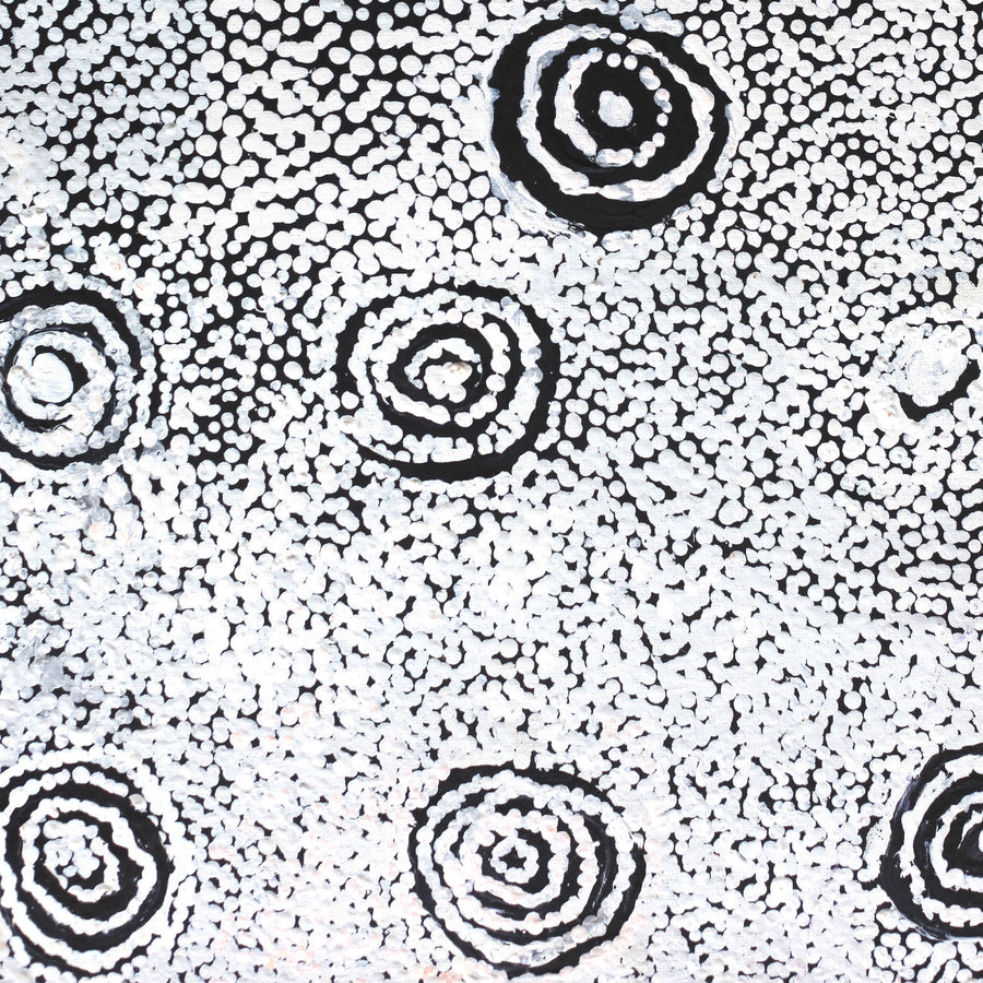 Aboriginal Artwork by Mickey Jampijinpa Singleton, Ngapa Jukurrpa, 76x46cm