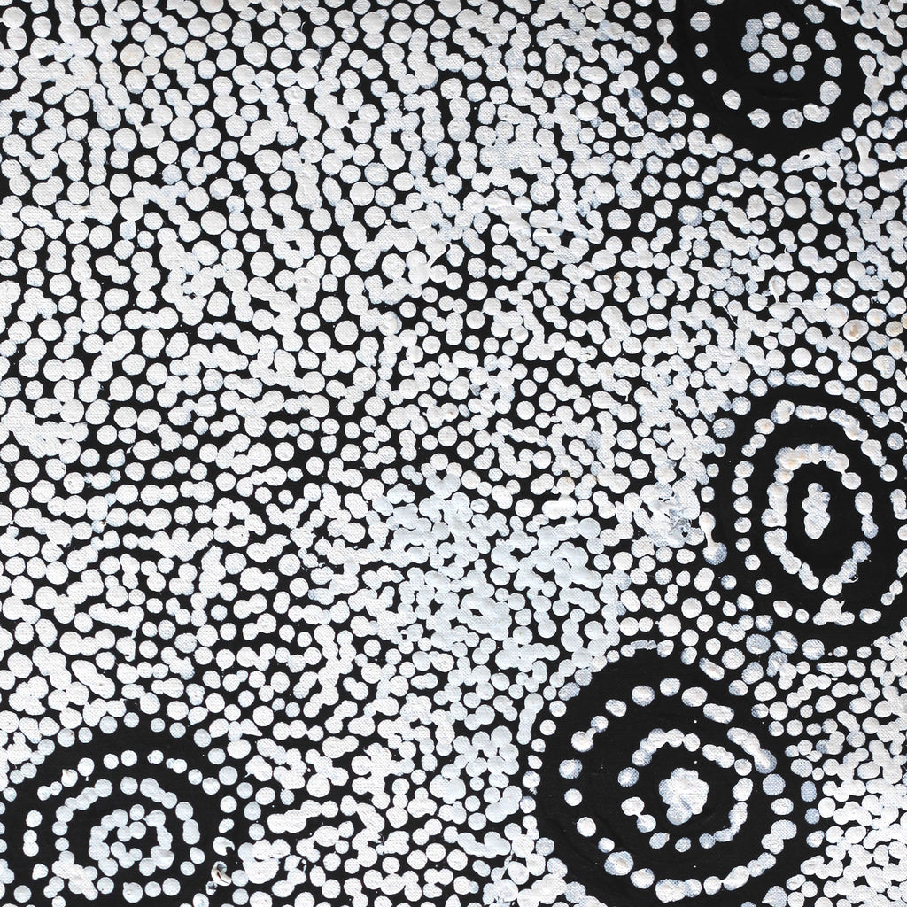 Aboriginal Artwork by Mickey Jampijinpa Singleton, Ngapa Jukurrpa, 76x46cm